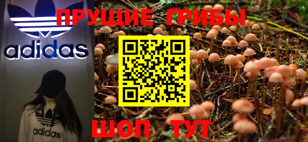 Елец  Псилоцибиновые грибы Cubensis  Галлюциногенные грибы мицелий  Вход с VPN 